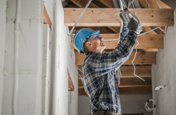 Best Home Electrical Repair  in Mount Carmel, TN